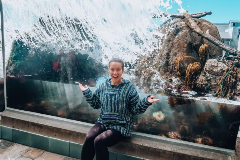 save money for travel head to the monteray aquarium for the best day out!