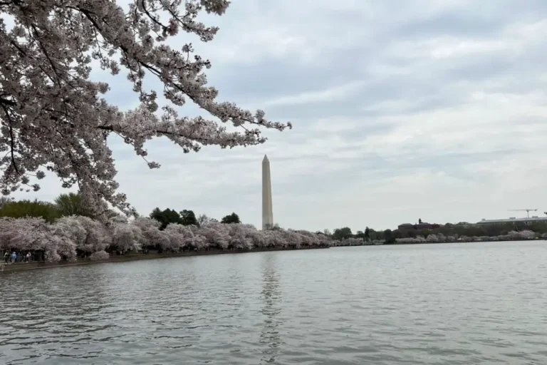 budget Tips for visiting Washington DC for first timers