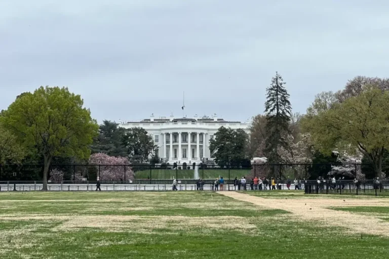 Best Things to Do in Washington DC in March