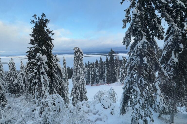 Koli National Park Things to do in Winter 2025